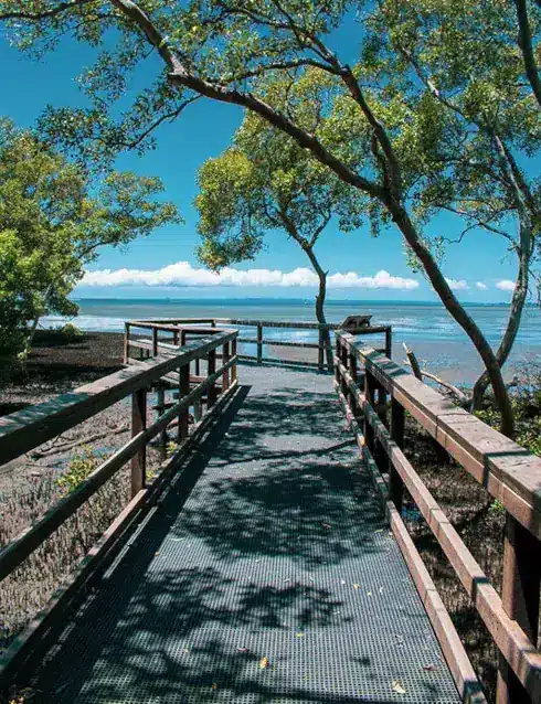 Boardwalk at the bay Boardwalk at the bay
