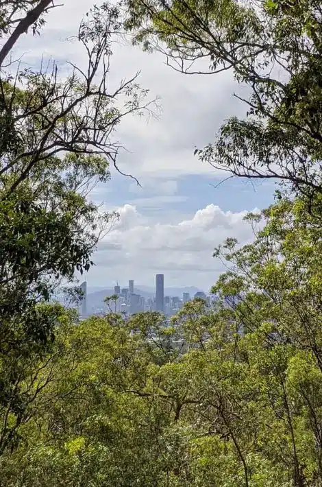 Whites Hill Reserve City view from Whites Hill Reserve